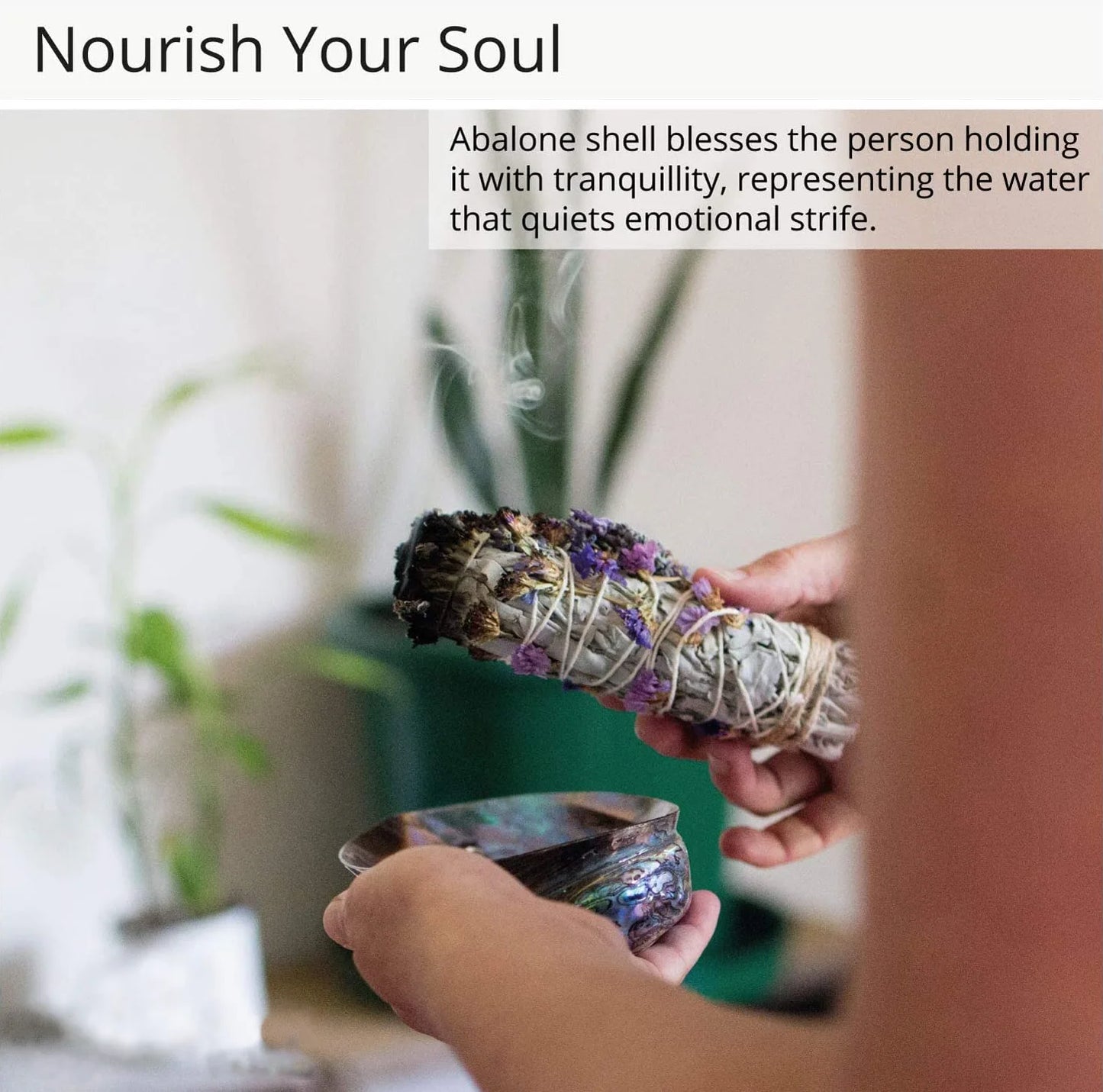 11-13CM Polished Natural Paua Abalone Shell Sage Smudge Kit with Tripod Stand, Sustainably Collected - for Smudging, Home Decor